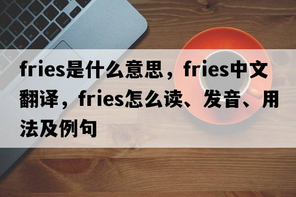 fries是什么意思，fries中文翻译，fries怎么读、发音、用法及例句