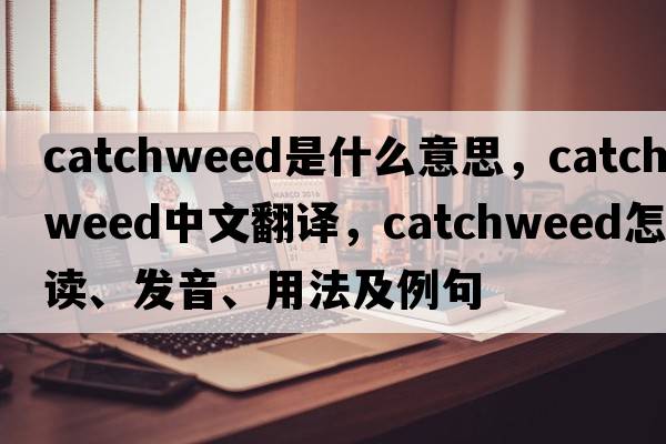 catchweed是什么意思，catchweed中文翻译，catchweed怎么读、发音、用法及例句