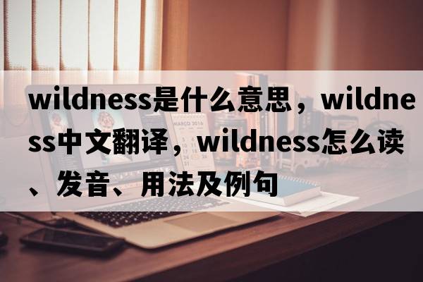 wildness是什么意思，wildness中文翻译，wildness怎么读、发音、用法及例句