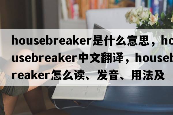 housebreaker是什么意思，housebreaker中文翻译，housebreaker怎么读、发音、用法及例句