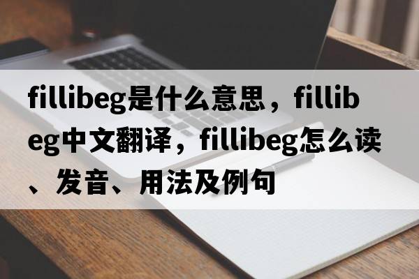 fillibeg是什么意思，fillibeg中文翻译，fillibeg怎么读、发音、用法及例句