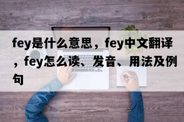 fey是什么意思，fey中文翻译，fey怎么读、发音、用法及例句