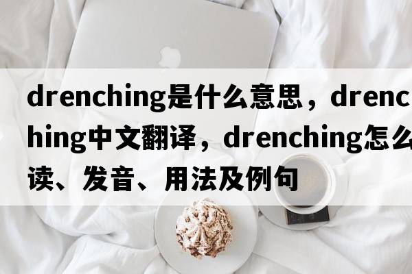 drenching是什么意思，drenching中文翻译，drenching怎么读、发音、用法及例句