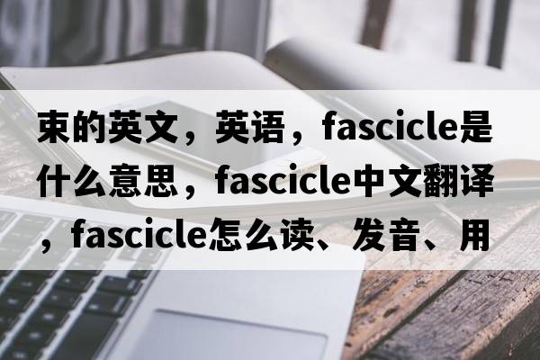 束的英文，英语，fascicle是什么意思，fascicle中文翻译，fascicle怎么读、发音、用法及例句