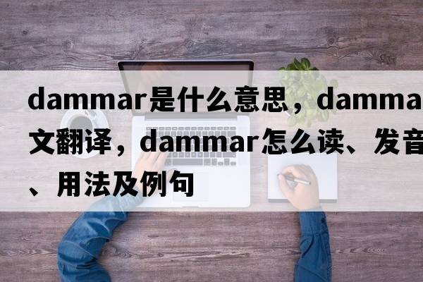 dammar是什么意思，dammar中文翻译，dammar怎么读、发音、用法及例句