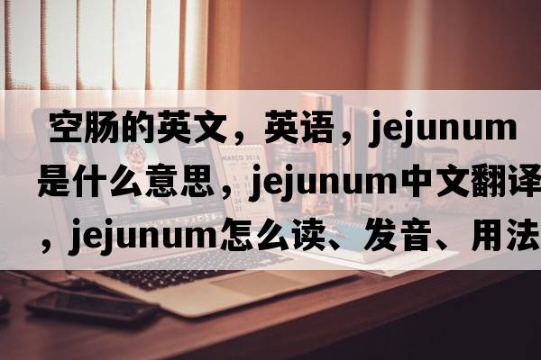  空肠的英文，英语，jejunum是什么意思，jejunum中文翻译，jejunum怎么读、发音、用法及例句