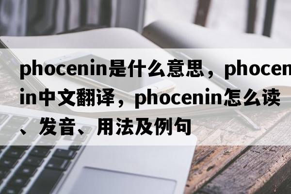 phocenin是什么意思，phocenin中文翻译，phocenin怎么读、发音、用法及例句