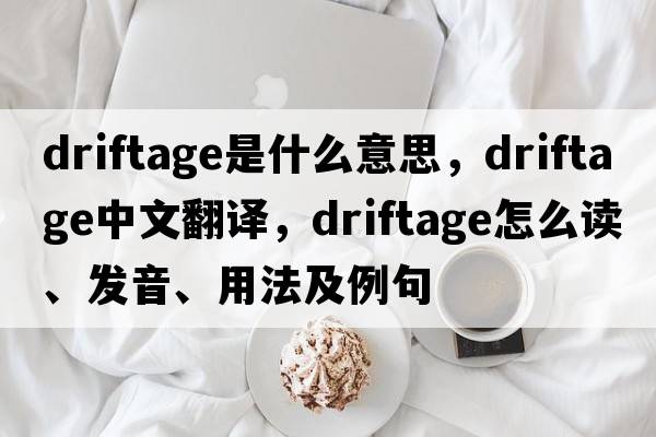 driftage是什么意思，driftage中文翻译，driftage怎么读、发音、用法及例句