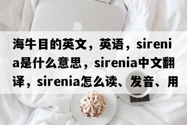 海牛目的英文，英语，Sirenia是什么意思，Sirenia中文翻译，Sirenia怎么读、发音、用法及例句