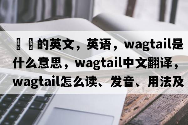 鹡鸰的英文，英语，wagtail是什么意思，wagtail中文翻译，wagtail怎么读、发音、用法及例句