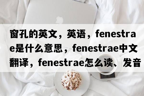 窗孔的英文，英语，fenestrae是什么意思，fenestrae中文翻译，fenestrae怎么读、发音、用法及例句