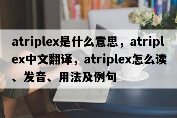 Atriplex是什么意思，Atriplex中文翻译，Atriplex怎么读、发音、用法及例句