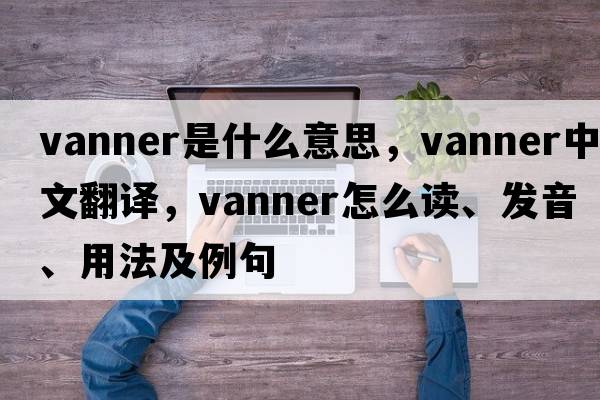 vanner是什么意思，vanner中文翻译，vanner怎么读、发音、用法及例句