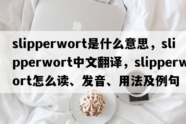 slipperwort是什么意思，slipperwort中文翻译，slipperwort怎么读、发音、用法及例句