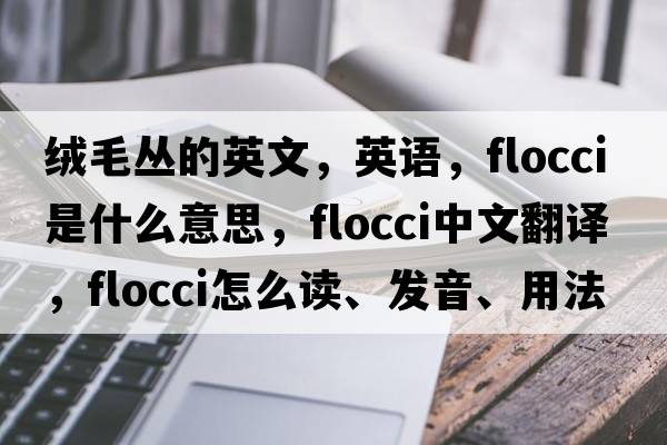 绒毛丛的英文，英语，flocci是什么意思，flocci中文翻译，flocci怎么读、发音、用法及例句