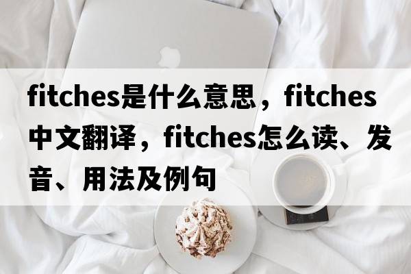 Fitches是什么意思，Fitches中文翻译，Fitches怎么读、发音、用法及例句