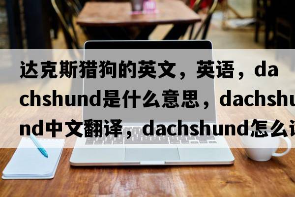 达克斯猎狗的英文，英语，dachshund是什么意思，dachshund中文翻译，dachshund怎么读、发音、用法及例句