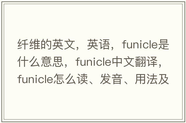 纤维的英文，英语，funicle是什么意思，funicle中文翻译，funicle怎么读、发音、用法及例句