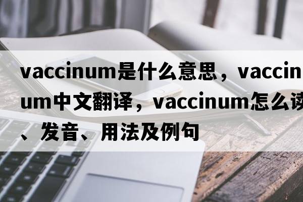 vaccinum是什么意思，vaccinum中文翻译，vaccinum怎么读、发音、用法及例句