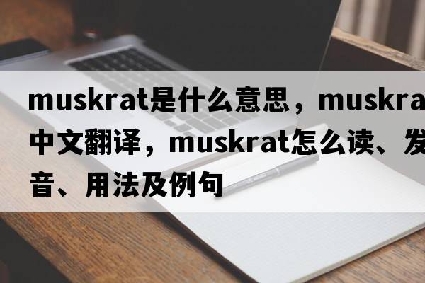 muskrat是什么意思，muskrat中文翻译，muskrat怎么读、发音、用法及例句