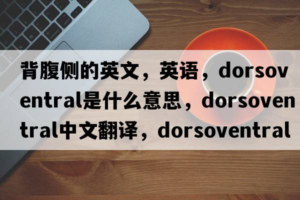 背腹侧的英文，英语，dorsoventral是什么意思，dorsoventral中文翻译，dorsoventral怎么读、发音、用法及例句