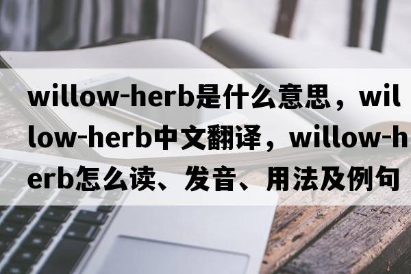 willow-herb是什么意思，willow-herb中文翻译，willow-herb怎么读、发音、用法及例句