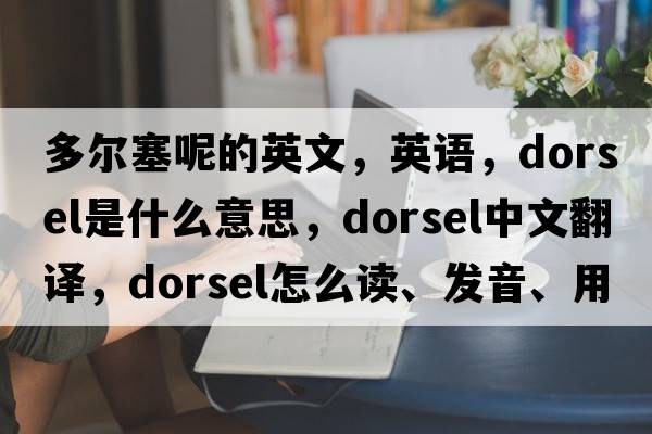 多尔塞呢的英文，英语，dorsel是什么意思，dorsel中文翻译，dorsel怎么读、发音、用法及例句