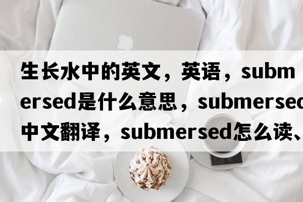 生长水中的英文，英语，submersed是什么意思，submersed中文翻译，submersed怎么读、发音、用法及例句