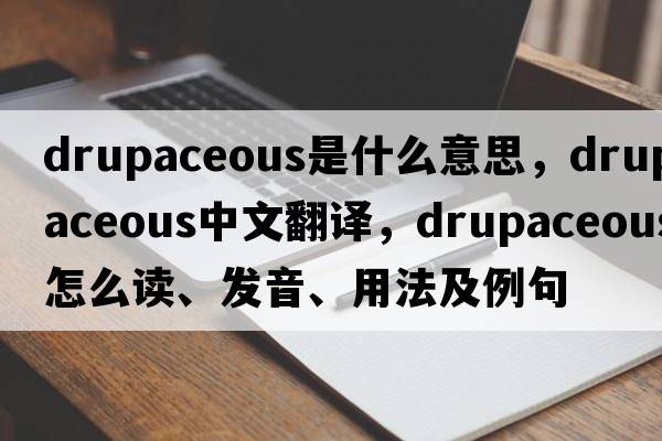 drupaceous是什么意思，drupaceous中文翻译，drupaceous怎么读、发音、用法及例句