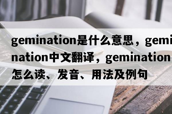 gemination是什么意思，gemination中文翻译，gemination怎么读、发音、用法及例句