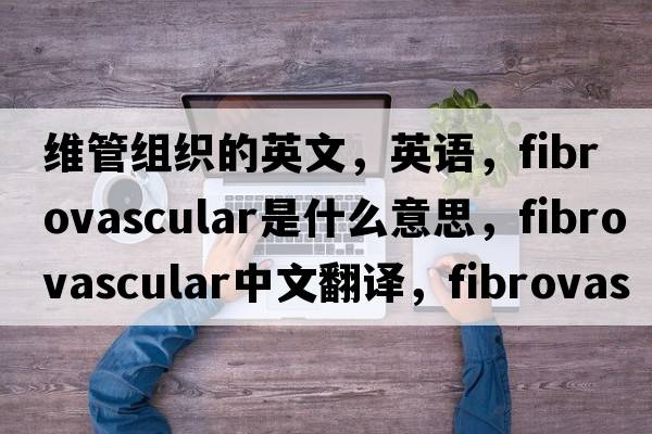 维管组织的英文，英语，fibrovascular是什么意思，fibrovascular中文翻译，fibrovascular怎么读、发音、用法及例句