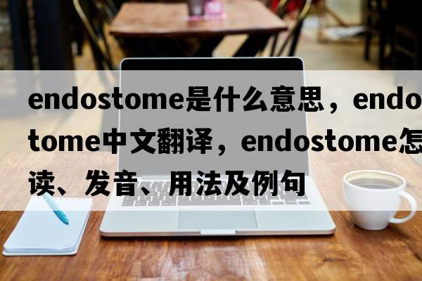 endostome是什么意思，endostome中文翻译，endostome怎么读、发音、用法及例句