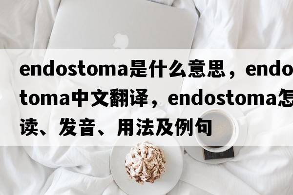 endostoma是什么意思，endostoma中文翻译，endostoma怎么读、发音、用法及例句