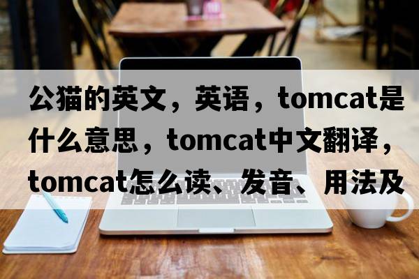 公猫的英文，英语，tomcat是什么意思，tomcat中文翻译，tomcat怎么读、发音、用法及例句