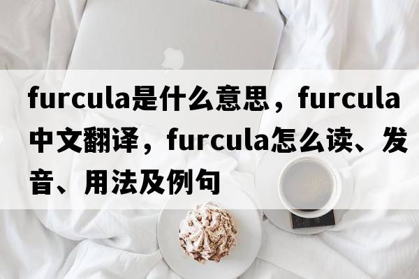 furcula是什么意思，furcula中文翻译，furcula怎么读、发音、用法及例句