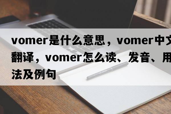 vomer是什么意思，vomer中文翻译，vomer怎么读、发音、用法及例句