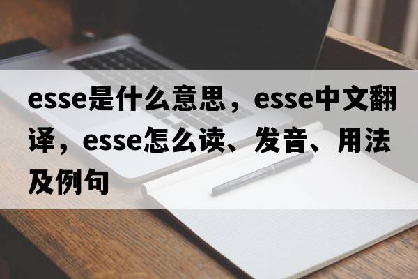 esse是什么意思，esse中文翻译，esse怎么读、发音、用法及例句