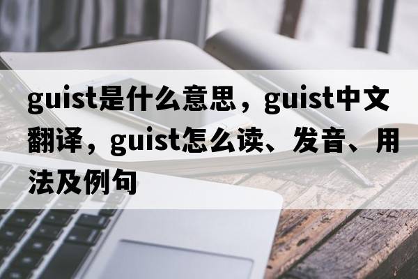 Guist是什么意思，Guist中文翻译，Guist怎么读、发音、用法及例句