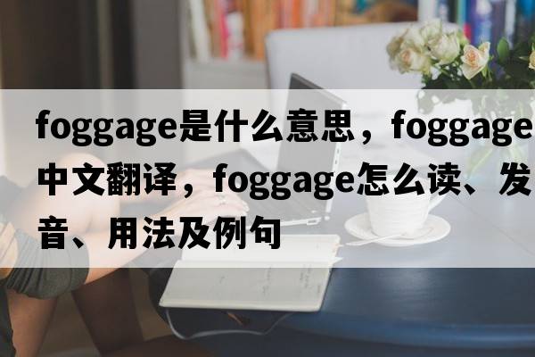 foggage是什么意思，foggage中文翻译，foggage怎么读、发音、用法及例句