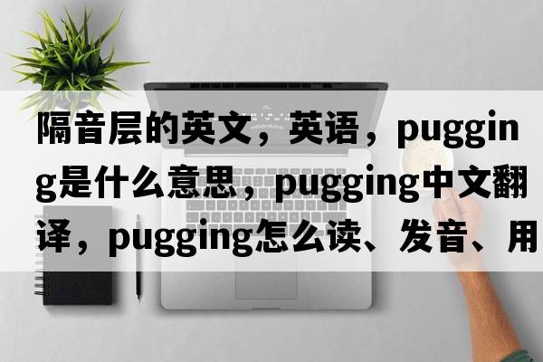 隔音层的英文，英语，pugging是什么意思，pugging中文翻译，pugging怎么读、发音、用法及例句