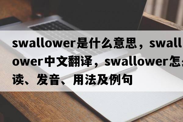 swallower是什么意思，swallower中文翻译，swallower怎么读、发音、用法及例句