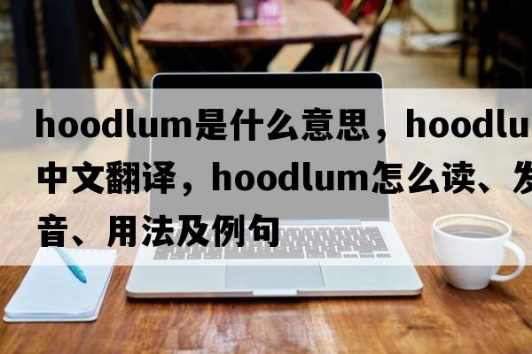 hoodlum是什么意思，hoodlum中文翻译，hoodlum怎么读、发音、用法及例句