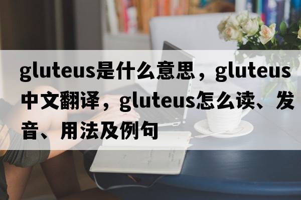 gluteus是什么意思，gluteus中文翻译，gluteus怎么读、发音、用法及例句