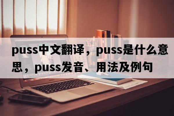 puss中文翻译，puss是什么意思，puss发音、用法及例句