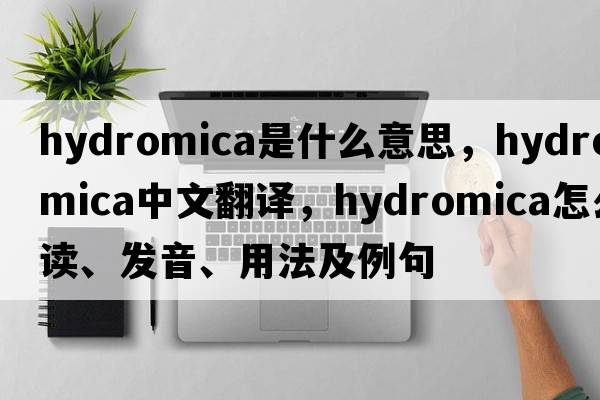 hydromica是什么意思，hydromica中文翻译，hydromica怎么读、发音、用法及例句