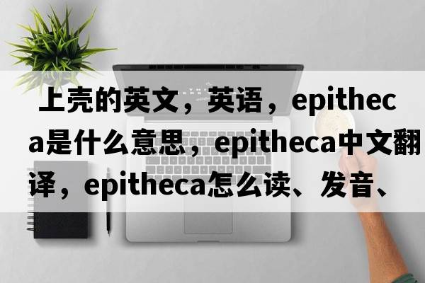  上壳的英文，英语，epitheca是什么意思，epitheca中文翻译，epitheca怎么读、发音、用法及例句