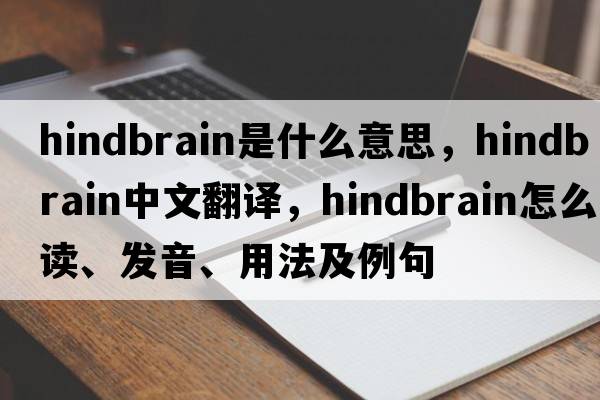 hindbrain是什么意思，hindbrain中文翻译，hindbrain怎么读、发音、用法及例句