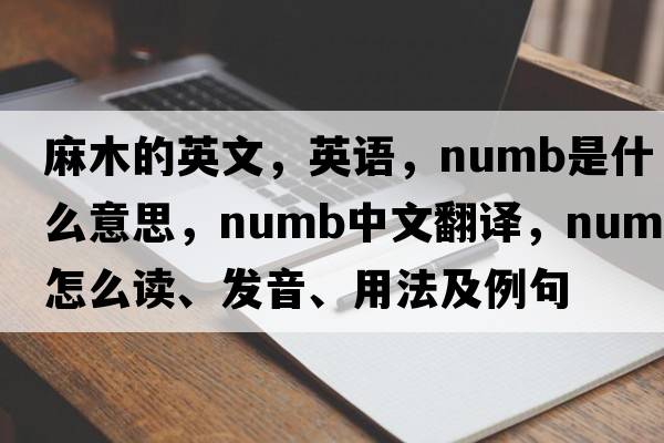 麻木的英文，英语，numb是什么意思，numb中文翻译，numb怎么读、发音、用法及例句