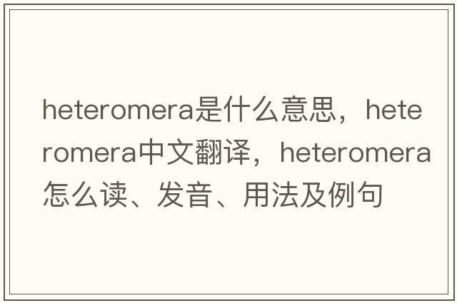 Heteromera是什么意思，Heteromera中文翻译，Heteromera怎么读、发音、用法及例句