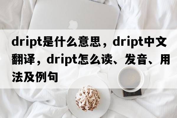 dript是什么意思，dript中文翻译，dript怎么读、发音、用法及例句